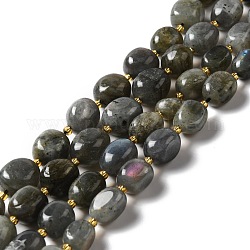 Chapelets de perles en labradorite naturelle , ovale, 9.5~19.5x8~13.5x5.5~13mm, Trou: 0.9~1.2mm, Environ 24~27 pcs/chapelet, 14.96~15.55'' (38~39.5 cm)