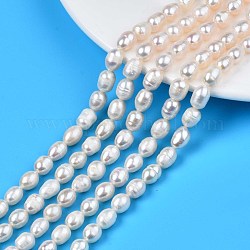 Brins de perles de culture d'eau douce naturelles, riz, couleur de coquillage, 7.5~11x6.5~7.5mm, Trou: 0.8mm, Environ 40~42 pcs/chapelet, 13.58 pouce ~ 14.29 pouces (34.5 cm ~ 36.3 cm)