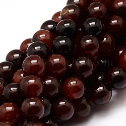 Tinti agata naturale perle tonde fili, marrone noce di cocco, 12mm, Foro: 1 mm, circa 33pcs/filo, 14.7 pollice