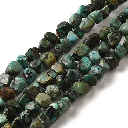 Brins de perles turquoises africaines naturelles (jaspe), pépites, pierre roulée, 3.5~9x4~6.5x4~6mm, Trou: 1mm, 14.96'' (38 cm)