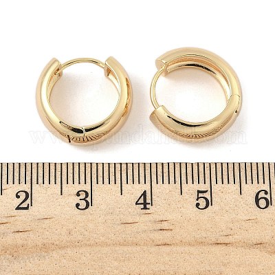Латунные серьги обруча EJEW-D320-19G-1