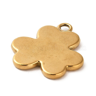 Pendentifs en acier inoxydable 304&nbsp;STAS-F298-03-1
