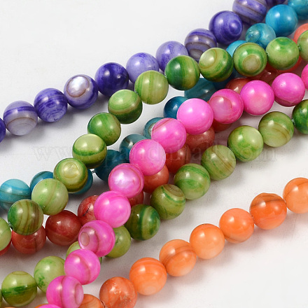Natural Shell Beads Strands M-PRB001Y-1