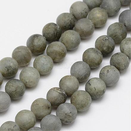 Natural Labradorite Frosted Bead Strands G-O155-04A-10mm-1