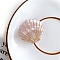 Cellulose Acetate(Resin) Claw Hair Clips, Hair Accessories for Girls Women, Shell Shape, Rosy Brown, 41x34mm