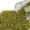 TOHO 11/0 Round Beads, Japanese Seed Beads, (246FM) Yellow Lined Light Olive Rainbow Matte, 2.2mm, Hole: 0.8mm, about 135000pcs/pound