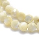 Perles de coquillage blanc naturel G-O171-09-6mm-3