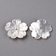Natural White Shell Mother of Pearl Shell Beads SSHEL-R144-10-2