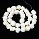 Chapelets de perles de coquille de trochid / trochus coquille SSHEL-S266-003-2