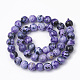 Dyed Natural Fire Crackle Agate Beads Strands G-T098-02B-03-2