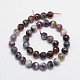 Faceted Natural Botswana Agate Round Beads Strands G-I166-01-10mm-2