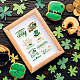 PH PandaHall Clover Silicone Stamps St. Patrick's Day Clear Stamps Irish Shamrock Transparent Stamp Rubber Stamp for Card Making Spring Journaling Photo Album Journal Scrapbooking DIY-WH0167-57-0088-5