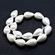 Electroplate Shell Pearl Beads Strands BSHE-G010-12x16mm-01-2