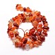Dyed Natural Carnelian Chip Beads Strands G-E271-105-2