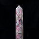 Barra de prisma puntiaguda de turmalina de flor de ciruelo natural G-PW0007-101C-1