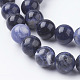 Natural Sodalite Beads Strands G-E110-10mm-3-3
