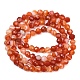 Нити бусин из натурального красного полосатого агата&nbsp;G-B175-D22-4mm-3