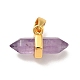 Natural Amethyst Double Terminal Pointed Pendants G-P481-01G-08-2