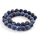 Frosted Natural Sodalite Round Bead Strands G-F231-01-6mm-2