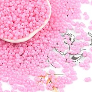Выпечка краска стеклянные бусины SEED-L011-09A-27