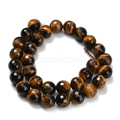 Природных тигровый глаз бисер нитей&nbsp;G-C280-B21-12mm