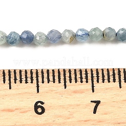 Натуральный кианит/цианит/дистеновые бусины G-G259-D04-2mm