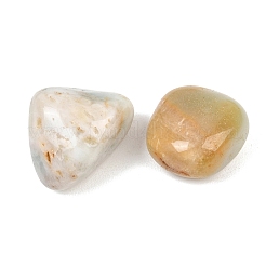天然フラワーアマゾナイトビーズ  穴なし/ドリルなし  ナゲット  14~20x15~37x5~16mm&nbsp;GG-CBAD0F6-C01-01