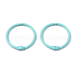 Железные брелоки с краской IFIN-T017-01