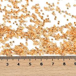 Краска для выпечки посеребренный стеклянный бисер&nbsp;SEED-H003-09A