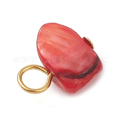 Подвески из натуральных окрашенных морских ракушек&nbsp;PALLOY-JF04307-02