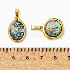 Anhänger aus natürlicher Paua-Muschel und Acryl&nbsp;PALLOY-JF05942-01