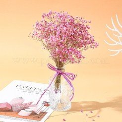 Лента из рафии OCOR-I012-A06