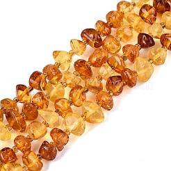 Perline ambra naturale fili&nbsp;G-N371-20B-01