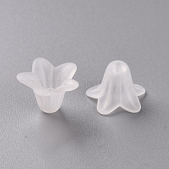 Прозрачные акриловые бусины PLF018-01