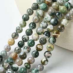 Натуральные древесные агатовые круглые бусины из драгоценных камней G-R255-8mm