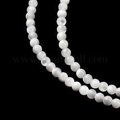 Натуральные белые бусины из ракушек G-N0190-11-2mm