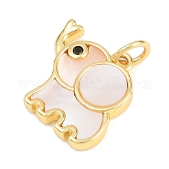 Pendenti in zirconi cubici trasparenti in micro pavè di ottone&nbsp;KK-H273-20G