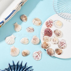 100 г 2 вида бусин в виде ракушек SSHEL-YW0001-08