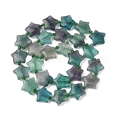 Natürlichen Fluorit Perlen Stränge&nbsp;G-K359-E14