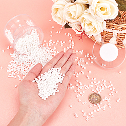 6/0 Цейлон круглый бисер&nbsp;SEED-PH0009-05