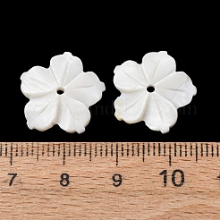 Pendenti intagliati in conchiglia d'acqua dolce naturale&nbsp;SHEL-K006-69B