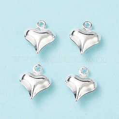 Anhänger aus 304 Edelstahl&nbsp;STAS-I138-11A-S
