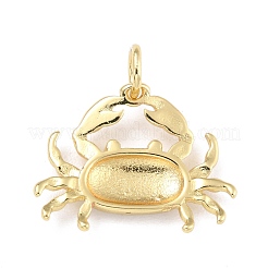 Латунь эмаль подвески&nbsp;KK-G402-34G