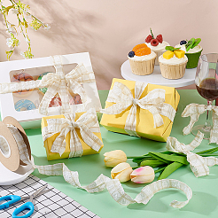 Полиэстеровые тартановые ленты&nbsp;SRIB-WH0011-348B