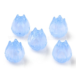 Прозрачные акриловые бусины OACR-K005-13