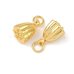 Breloques en laiton&nbsp;KK-F941-42A-G