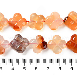 Природный агат бисер нитей G-H024-C01-01