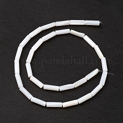 天然淡水シェルビーズ連売り  コラム  貝殻色  13x4mm  穴：0.8mm  約30個/連  15.16''（38.5センチメートル）&nbsp;X-SHEL-M018-10