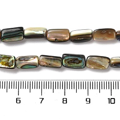 Природные пауа бусы нити SSHEL-B002-14