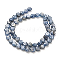 Натуральный кианитовые бисер пряди&nbsp;G-H335-K01-8mm
